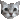 blinking cat